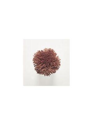 Koberce - FdS Band 0 Botanical Silk (T) - FERR-BOTSILKT - T39 Copper