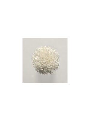 Koberce - FdS Band 0 Botanical Silk (T) - FERR-BOTSILKT - T52 Ivory