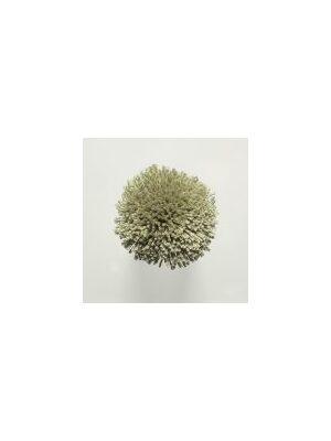 Koberce - FdS Band 0 Botanical Silk (T) - FERR-BOTSILKT - T76 Dusty Green