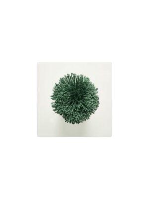 Koberce - FdS Band 0 Botanical Silk (T) - FERR-BOTSILKT - T81 Evergreen