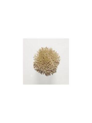 Koberce - FdS Band 0 Botanical Silk (T) - FERR-BOTSILKT - T108 Caramel