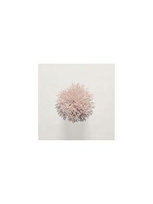 Koberce - FdS Band 0 Botanical Silk (T) - FERR-BOTSILKT - T113 Light Peach