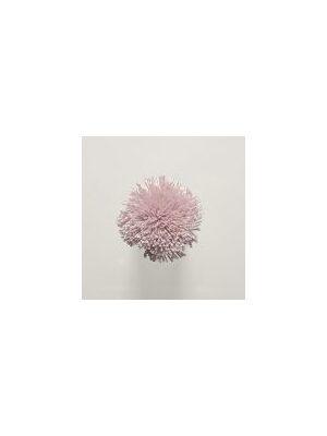 Koberce - FdS Band 0 Botanical Silk (T) - FERR-BOTSILKT - T114 Crystal Pink
