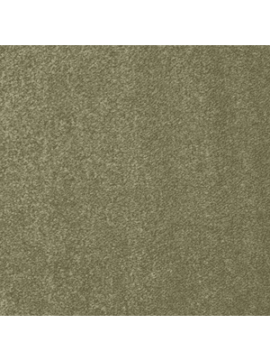 Koberce - Lusso 100% pad db 400 500 - FAM-LUSSO - 521520