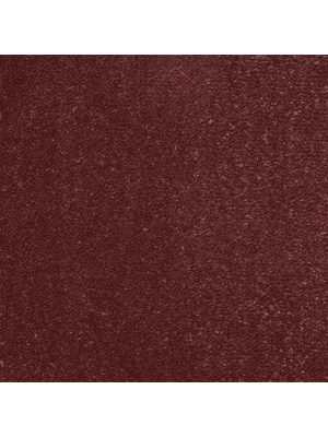 Koberce - Lusso 100% pad db 400 500 - FAM-LUSSO - 529211