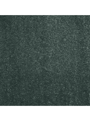 Carpets - Lusso 100% pad db 400 500 - FAM-LUSSO - 529524