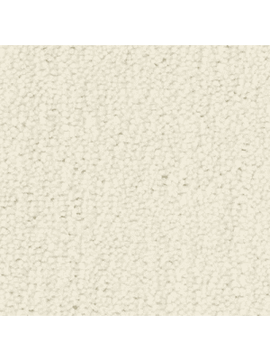 Koberce - Eleganza 100% pes db 400 500 - FAM-ELEGANZA - Bianco