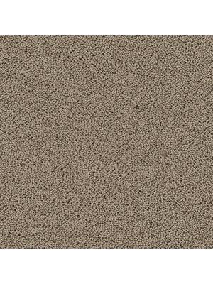 Koberce - Highloop cab 400 - TOBJC-HIGHLP - 7705 Cat