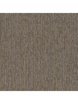 Koberce - District Purpose tw sd 50x50 cm - SHA-PURPOSETW - Sierra 08761