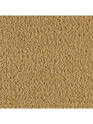 Koberce - Ceres ab 400 - CRE-CERES - 3090 Gold