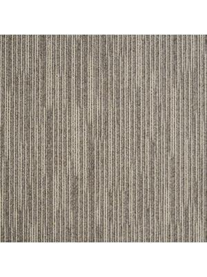 Koberce - Ambition Graphic sd bt 50x50 cm - CON-AMBITION50 - 70