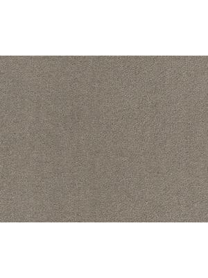 Koberce - Dream 32 sb 400 500 - LN-DREAM - UIO.263 Camel 3