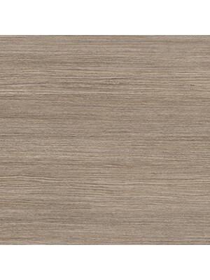 Vinyl - Expona Flow pur 2-0.7 mm 200 - OBF-FLOW - 9869 Honey Beige