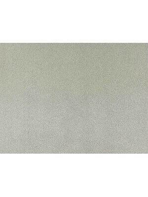 Koberce - Cannes 100% Nylon lxb 400 500 - ITC-CANNES - 150300 Silver