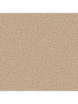 Vinyl - Polysafe Standard pur 2 mm 200 - OBF-PS-STAND2 - 4140 Autumn Beige