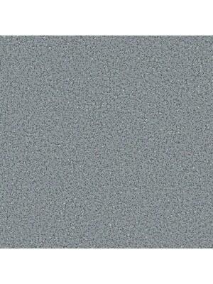 Vinyl - Polysafe Standard pur 2 mm 200 - OBF-PS-STAND2 - 4090 Nordic Grey