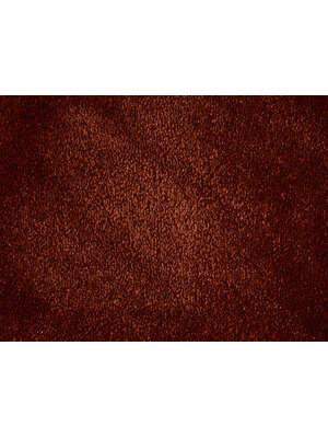 Koberce - Chamonix 100% Nylon lxb 400   - ITC-CHAMONIX - 190248 Amber