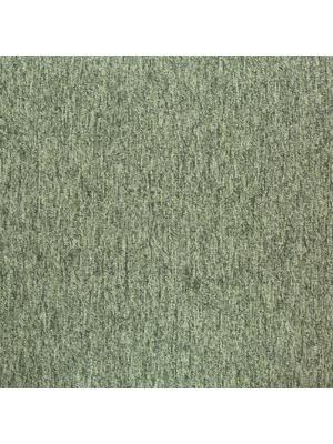 Koberce - Tivoli sd acc 50x50 cm - BUR-TIVOLI50 - 20282 Greenland Fern