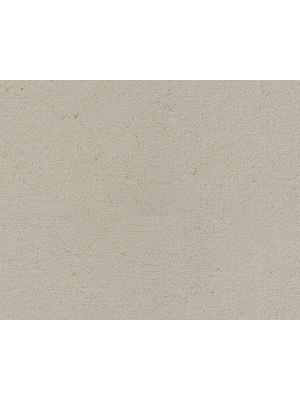 Koberce - Celeste 32 cfls1 sb 400 500 - LN-CELESTE - URO.241 Cream1