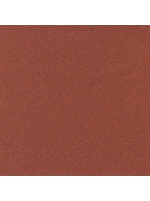 Vinyl - Polysafe Apex 55 3 mm 200 - OBF-PS-APEX55 - 4206 Red Ochre