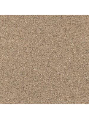 Vinyl - Polysafe Apex 55 3 mm 200 - OBF-PS-APEX55 - 4207 Sandstone