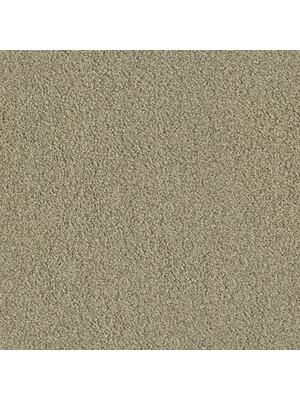 Koberce - Highs x Sighs 2200 pet cab 400  - OBJC-HIGHSIGHS - 2210