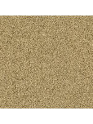 Koberce - Highs x Sighs 2200 pet cab 400  - OBJC-HIGHSIGHS - 2230