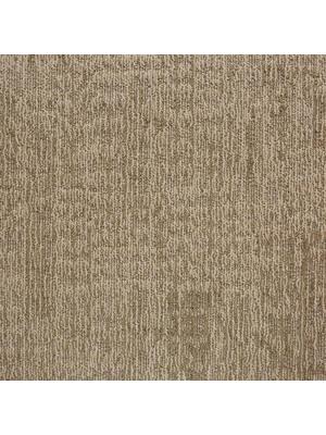 Koberce - Alaska Econyl sd acc 50x50 cm - BUR-ALASKA50 - 22213 Antler