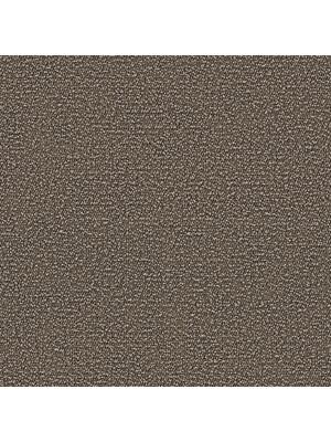 Koberce - Springles Eco 700 Econyl sd Acoustic 50x50 cm - OBJC-SPRINECO50 - 759 Greige