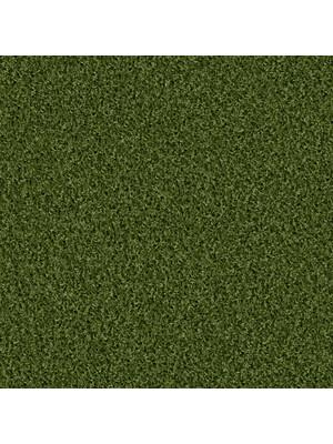 Koberce - Poodle 1400 Acoustic 50x50 cm - OBJC-POODLE50 - 1402 Pinie