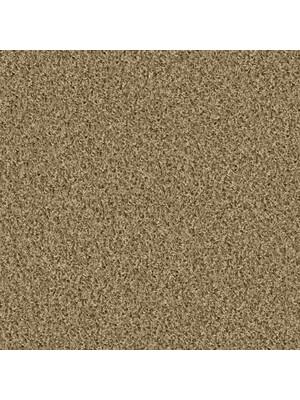 Koberce - Poodle 1400 Acoustic 50x50 cm - OBJC-POODLE50 - 1431 Playa