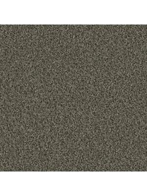 Koberce - Poodle 1400 Acoustic 50x50 cm - OBJC-POODLE50 - 1424 Koala