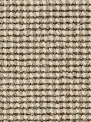 Koberce - Globe ab 400 500 - BSW-GLOBE - 195