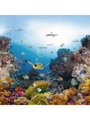 Contract vinyl floors - Absolute 43 2-0.70 mm 400 - BEA-ABSOLUTE - Coral reef