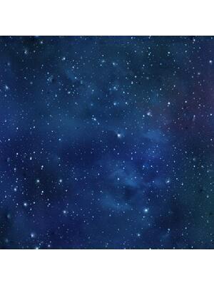 Contract vinyl floors - Absolute 43 2-0.70 mm 400 - BEA-ABSOLUTE - Starry Night