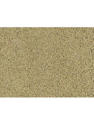 Koberce - Kashmir ltx 200 - ANK-KASHM200 - 091028-081