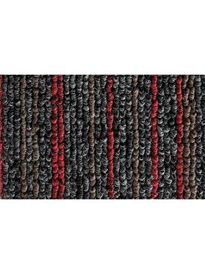 Koberce - Astra Stripes bt 50x50 cm - CON-ASTRASTR50 - 520