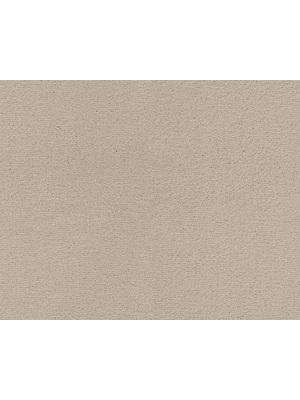 Koberce - Lior 31 sb 400 500 - LN-LIOR - USO.0241 Cream 1