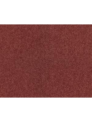 Koberce - Lounge 32 sb 400 500 - LN-LOUNGE - ZEO.0131 Rose 1