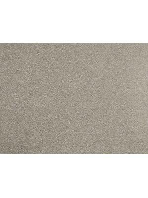 Carpets - Chablis 100% Nylon lxb 400 500   - ITC-CHABLIS - 130116 Cement