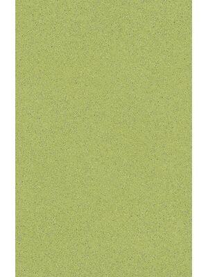 Vinyl - Xtreme 2-0.70 mm 200 400 - BEA-XTREME - Mira 550M