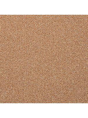 Koberce - Comfort-Twist tb 400 - IFG-TWIST - 231