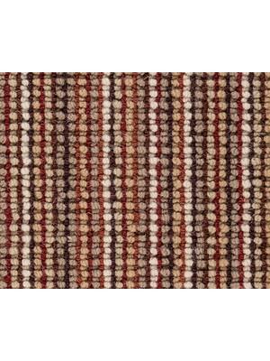 Koberce - Evolution ab 400 - BSW-EVOLUTION - Earth