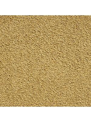 Koberce - Bounty ab 400 - CON-BOUNTY - 50