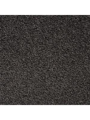 Koberce - Bounty ab 400 - CON-BOUNTY - 79