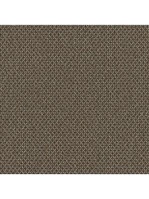 Carpets - Net Web cab 400 - TOBJC-NETWEB - 1087 Stubble Field