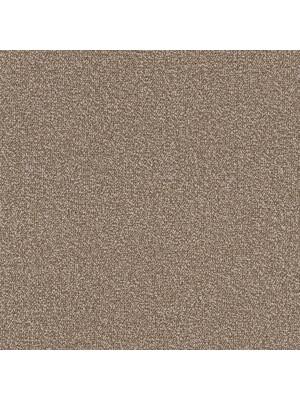 Koberce - Eco Solo Econyl sd cab 400 - TOBJC-ECOSOLO - 7958 Kitt