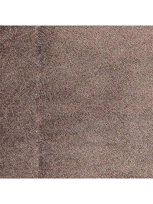 Koberce - Champ tb 400 - IFG-CHAMP - 785