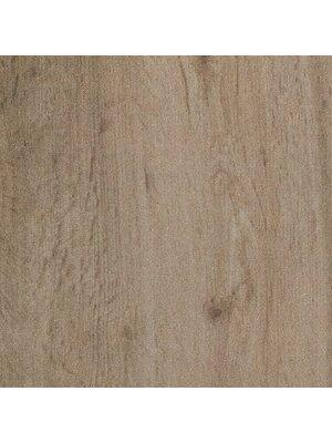 Koberce - Cara tb 400 - IFG-CARA - 020