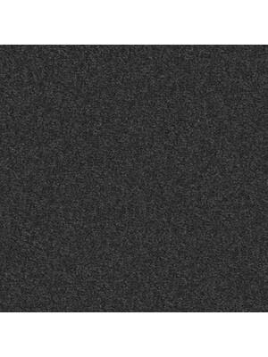 Carpets - Moody 2000 cab 400 - TOBJC-MOODY - 2007 Graphit